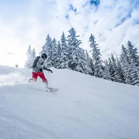 Confortable Aux Pieds Des Pistes, Proche Commerces Et Garderie - Fr-1-398-666